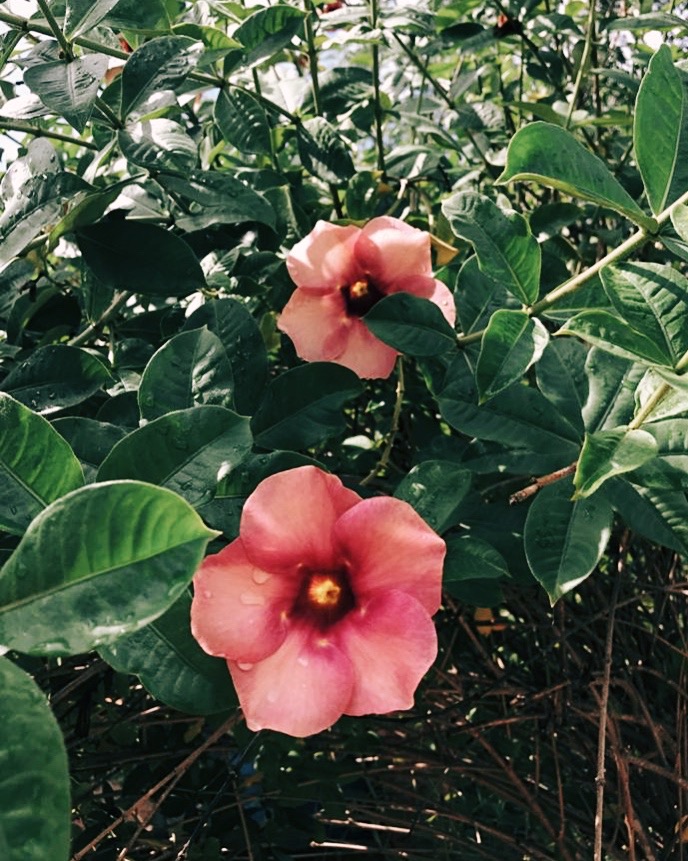 Educação primeiro a si mesmo e depois ao outro