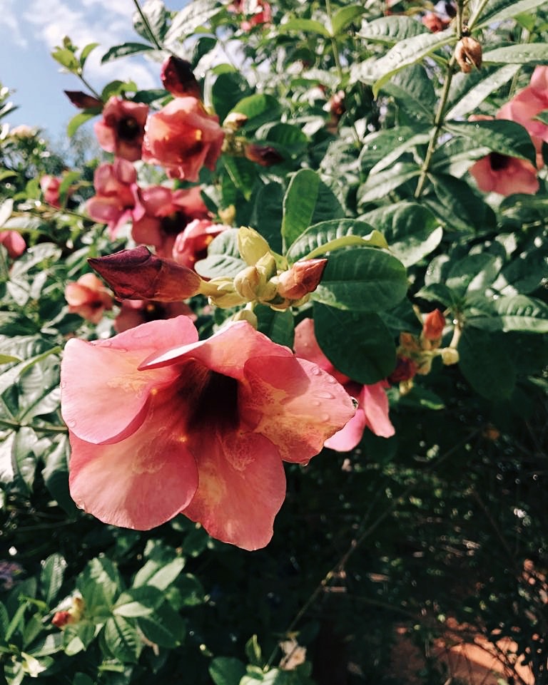 Educação primeiro a si mesmo e depois ao outro