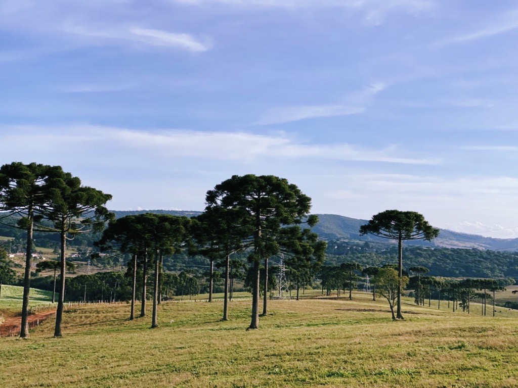 O Indivíduo e Sociedade