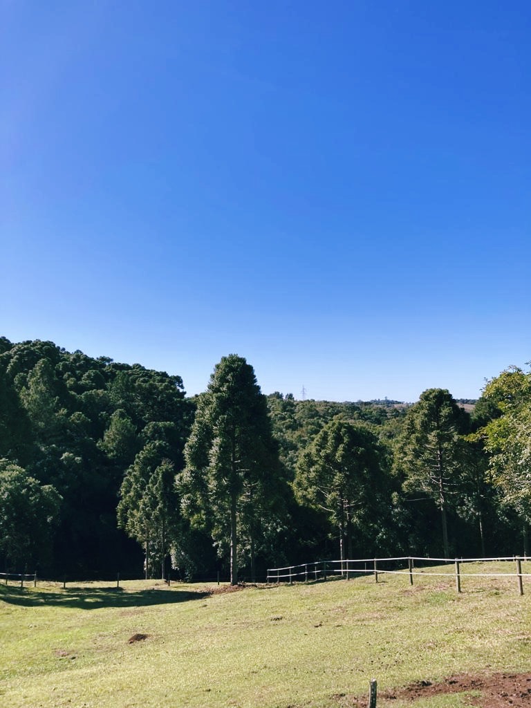 eu sou a prioridade ou os que estão ao meu redor são?