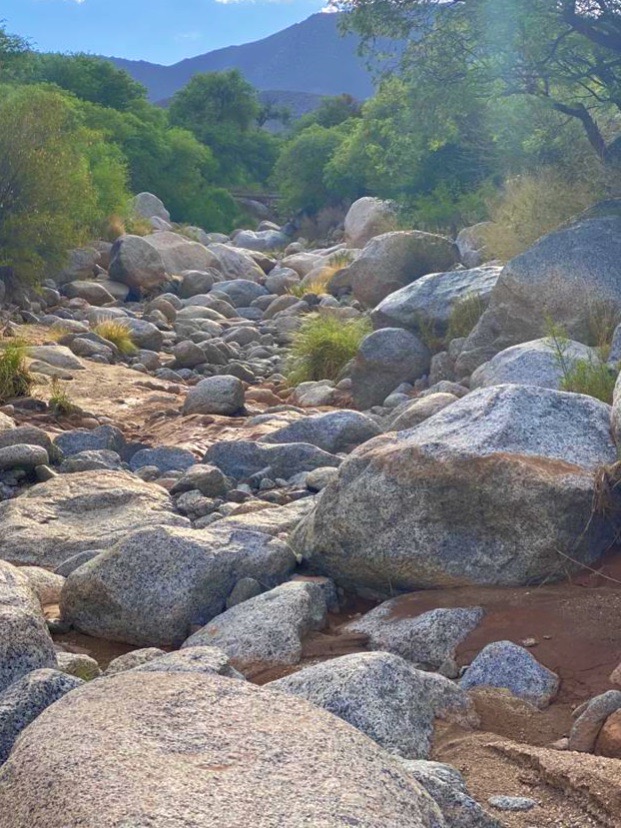 A passagem da natureza inferior para a Natureza superior