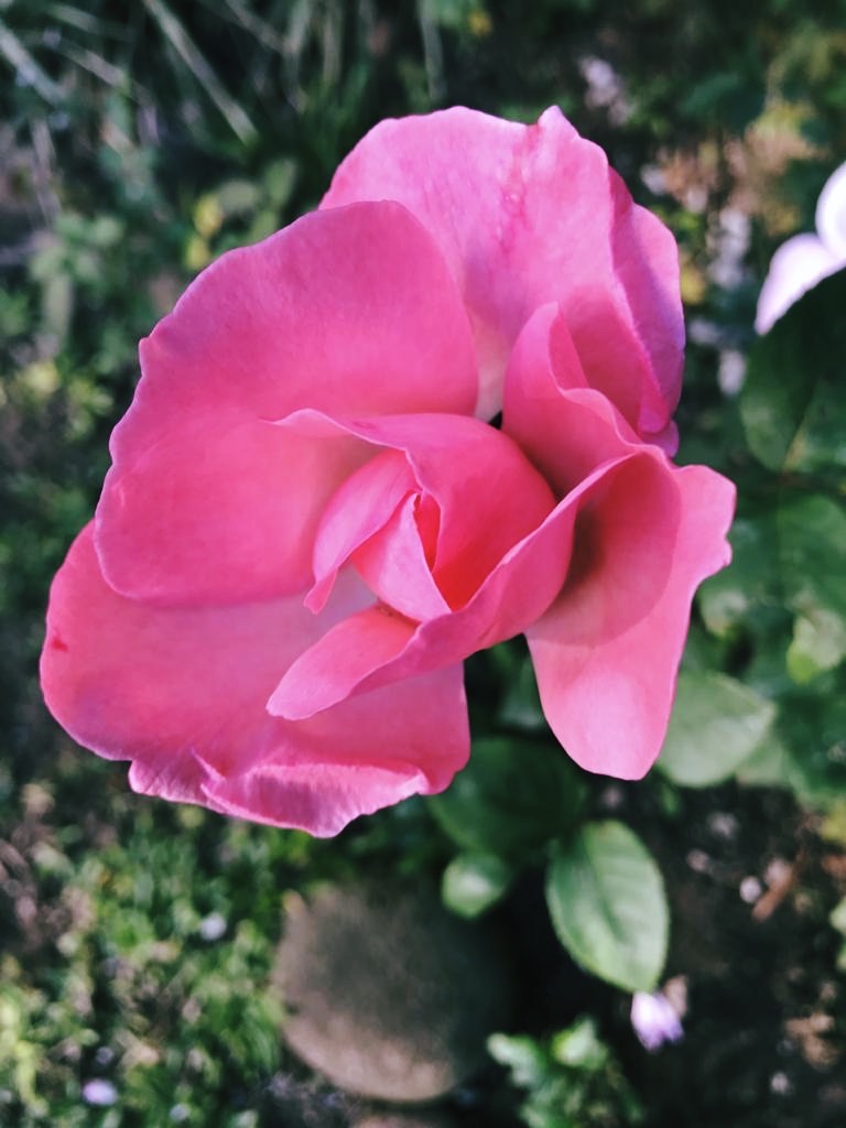 Identidade entre consciência e existência.