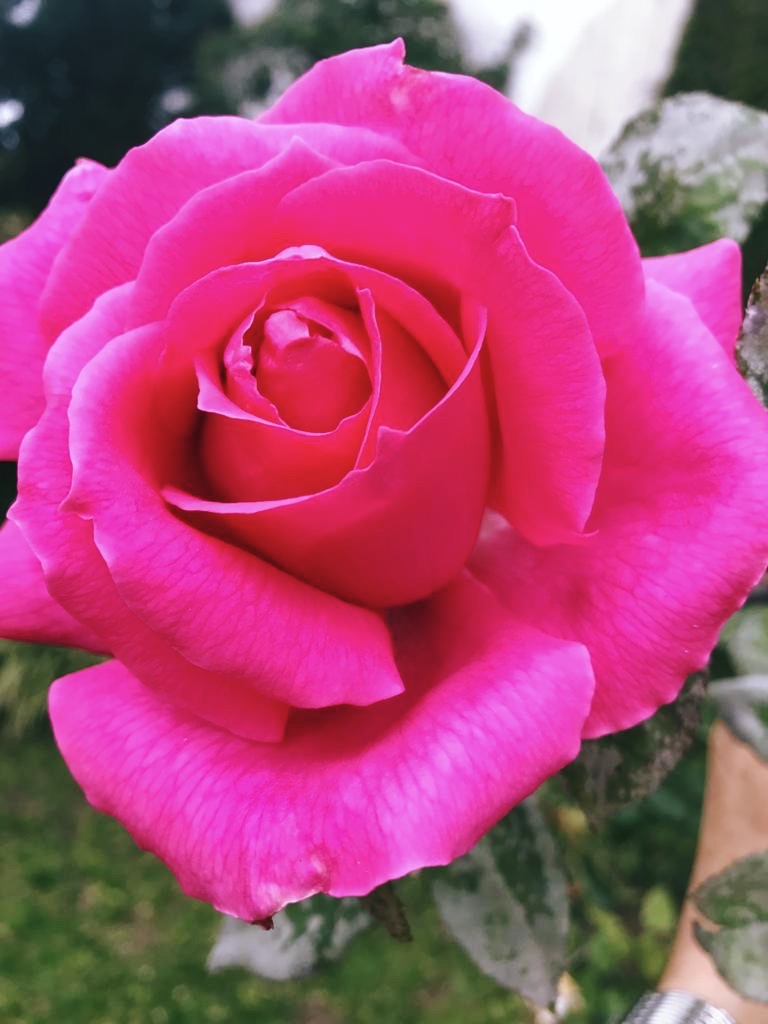 O processo descendente e o processo ascendente da Consciência