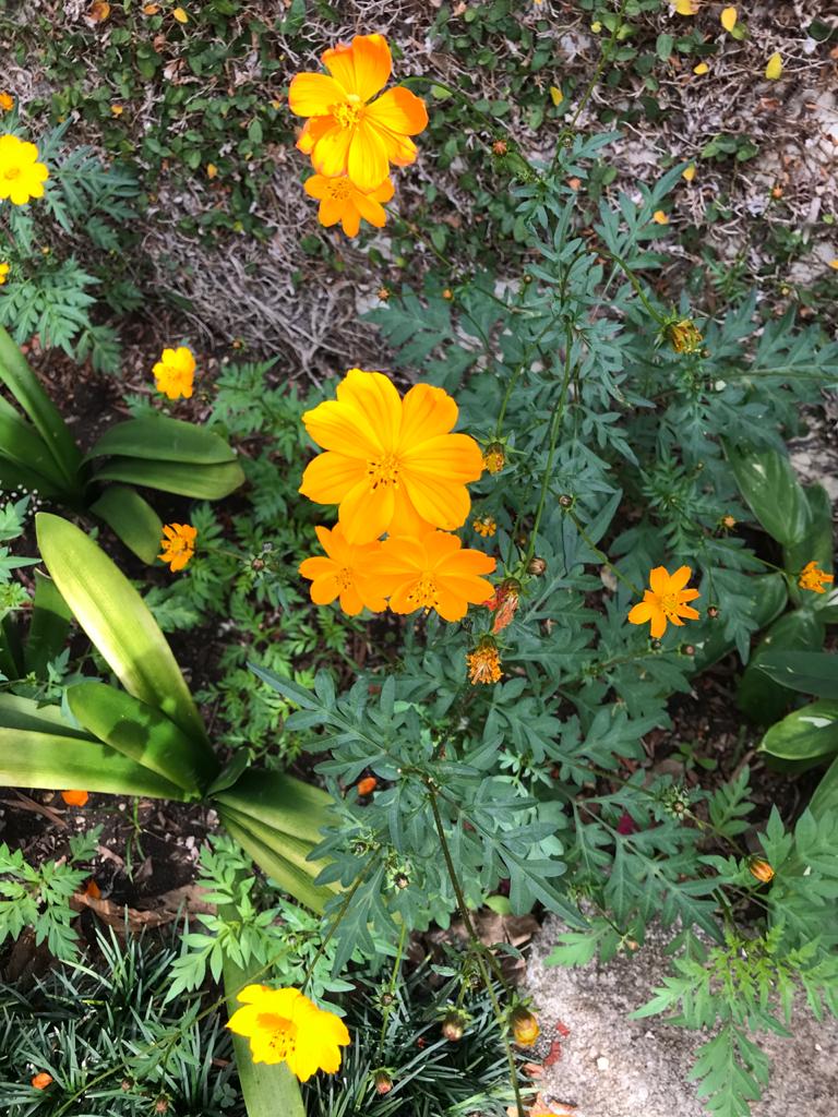 Seu poder questionador e analítico desce ao fundamento de tudo que existe de forma que nada escapa à sua penetração.